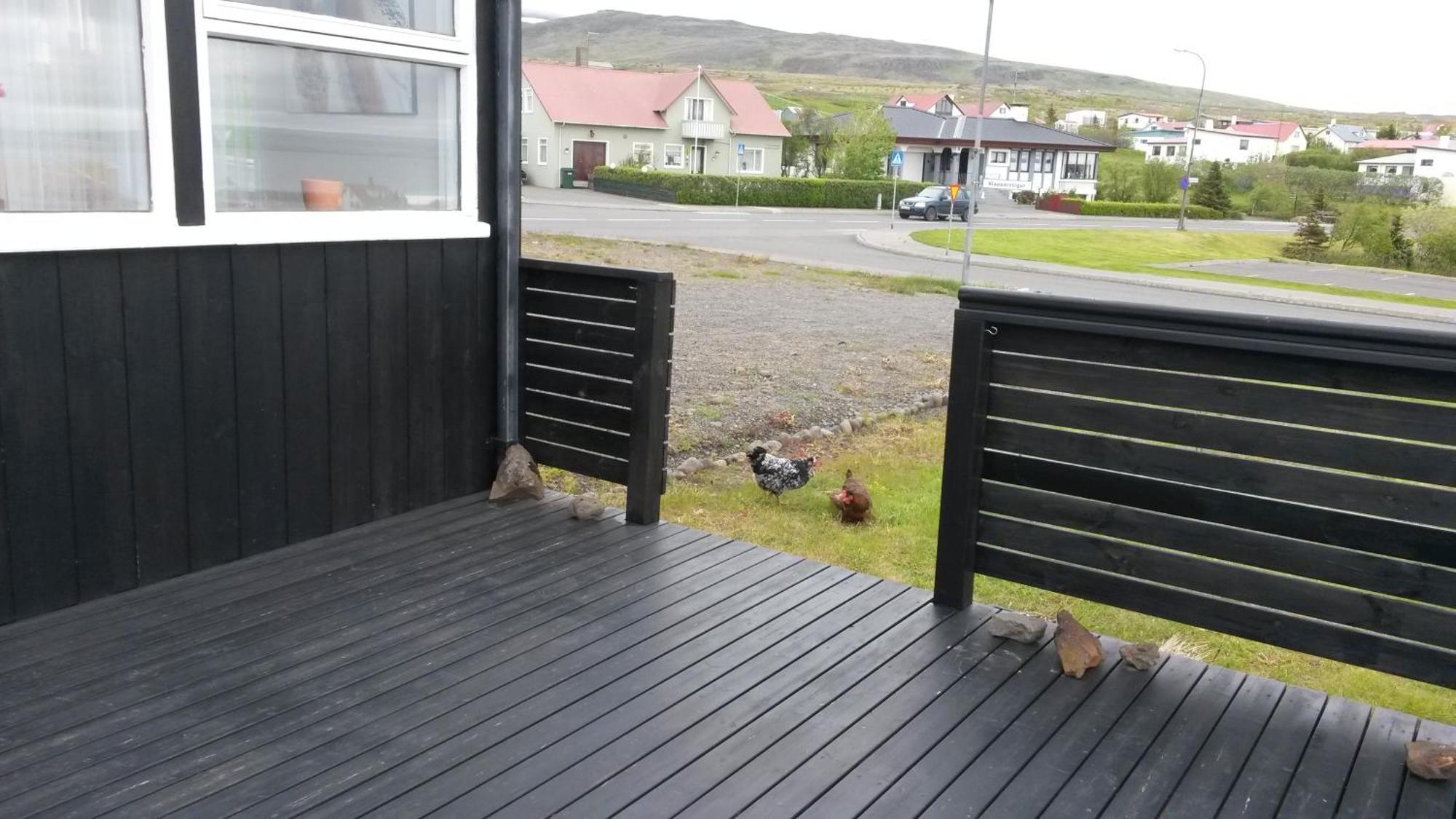 Hotel Hvammstangi Guesthouse Eksteriør billede